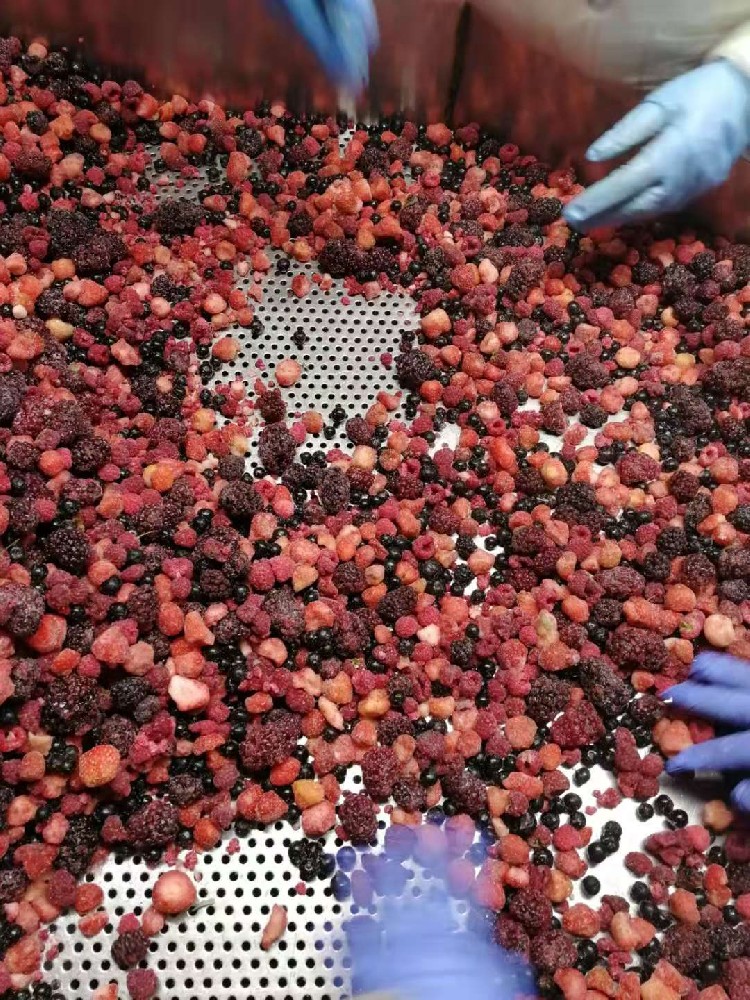 IQF mixed berries